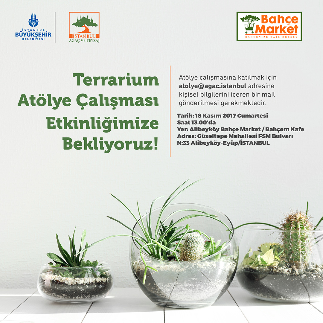 TERRARİUM ATÖLYELERİ BAHÇE MARKET’TE 2