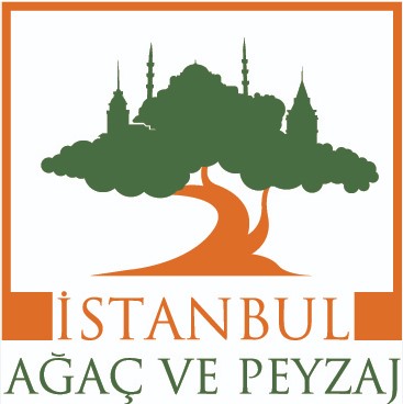 Olağanüstü Genel Kurul Toplantısına Çağrı